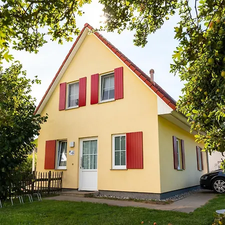 C 1 Maja